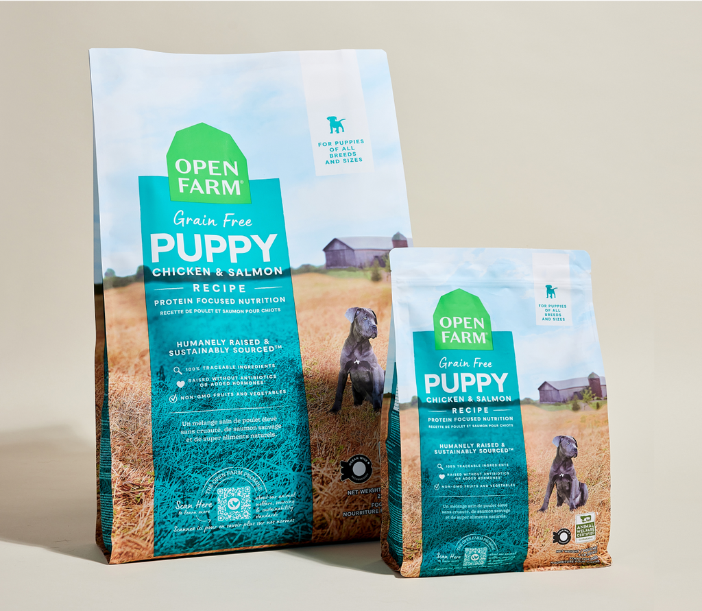 Chicken & Salmon Grain-Free Puppy Kibble