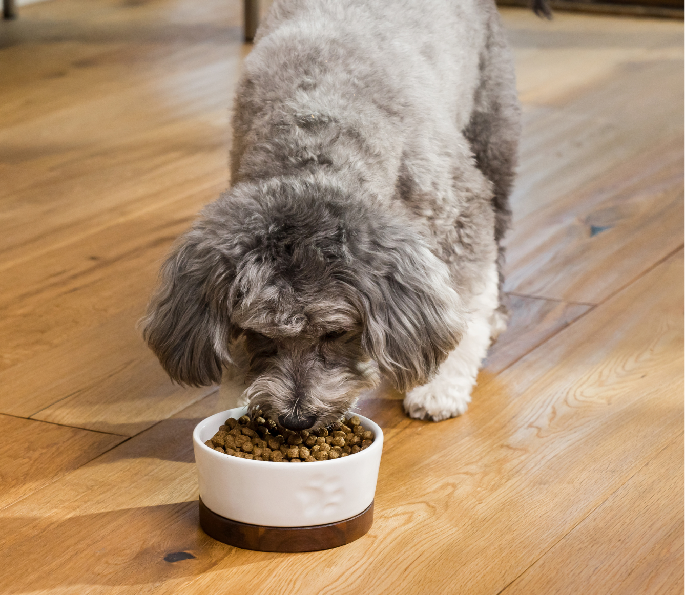 Small Breed Grain-Free Dog Kibble